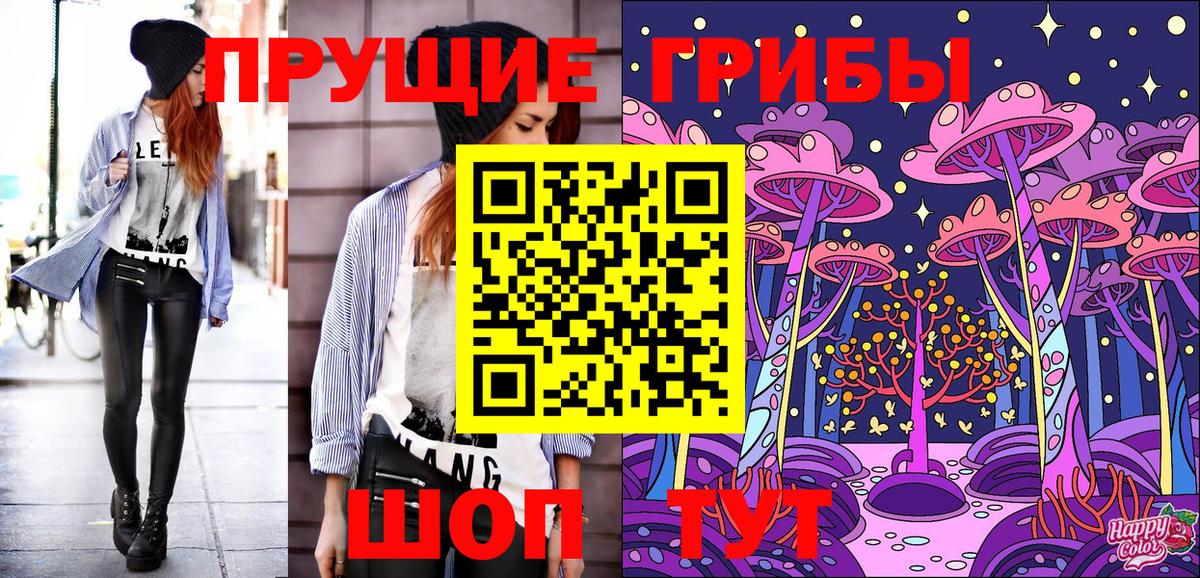 Галлюциногенные грибы Psilocybine cubensis Грозный