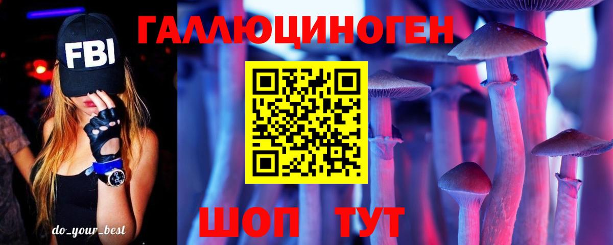 Псилоцибиновые грибы Psilocybe  наркошоп  Грозный  Вход с VPN 